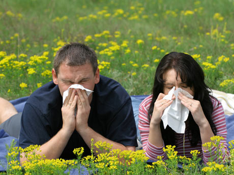 Οι αλλεργίες είναι κρυμένες στο σπίτι μας!