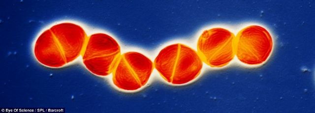 bctstrp_4-9-2012