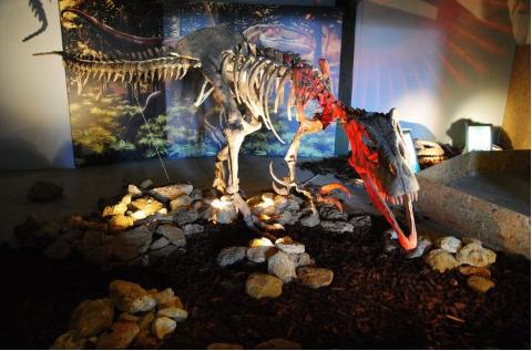 Έρευνα Δεινόσαυροι: Βρέθηκαν οι πέτρες που έτρωγαν για να χωνέψουν [pic]