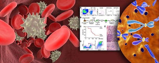 Νέο πρωτοποριακό ερευνητικό πρόγραμμα για την χρόνια Μυελογενή Λευχαιμία