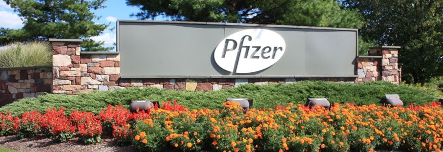 360 εκατ. $ εξαγόρασε η Pfizer την InnoPharma