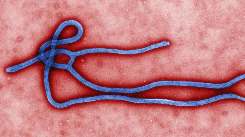 ΚΕΕΛΠΝΟ : Οδηγίες για προστασία από τον ιό Εbola