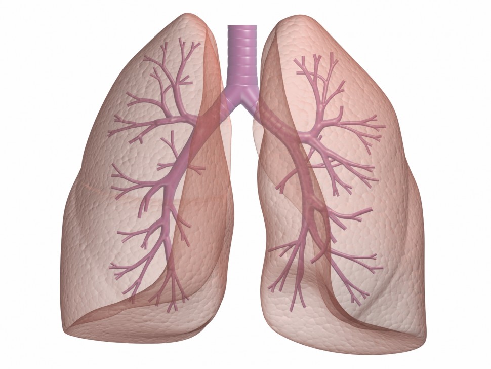 Αύξηση κρουσμάτων παρουσιάζει ο καρκίνος του πνεύμονα