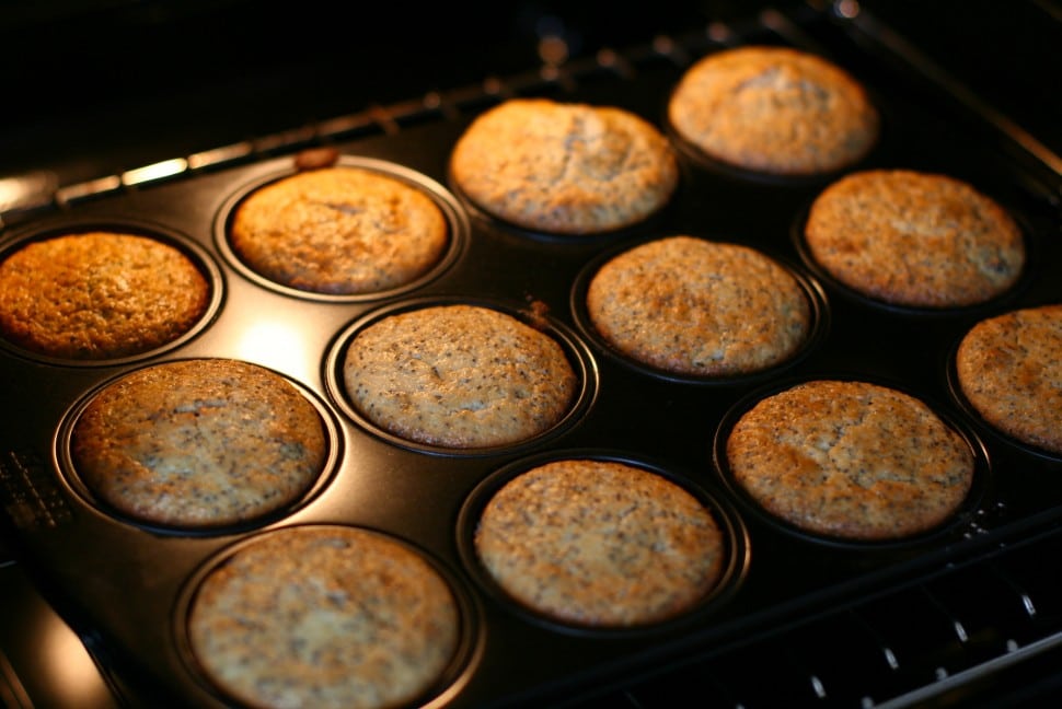 Cranberry Mohn Muffins in baking tray e1415847776120