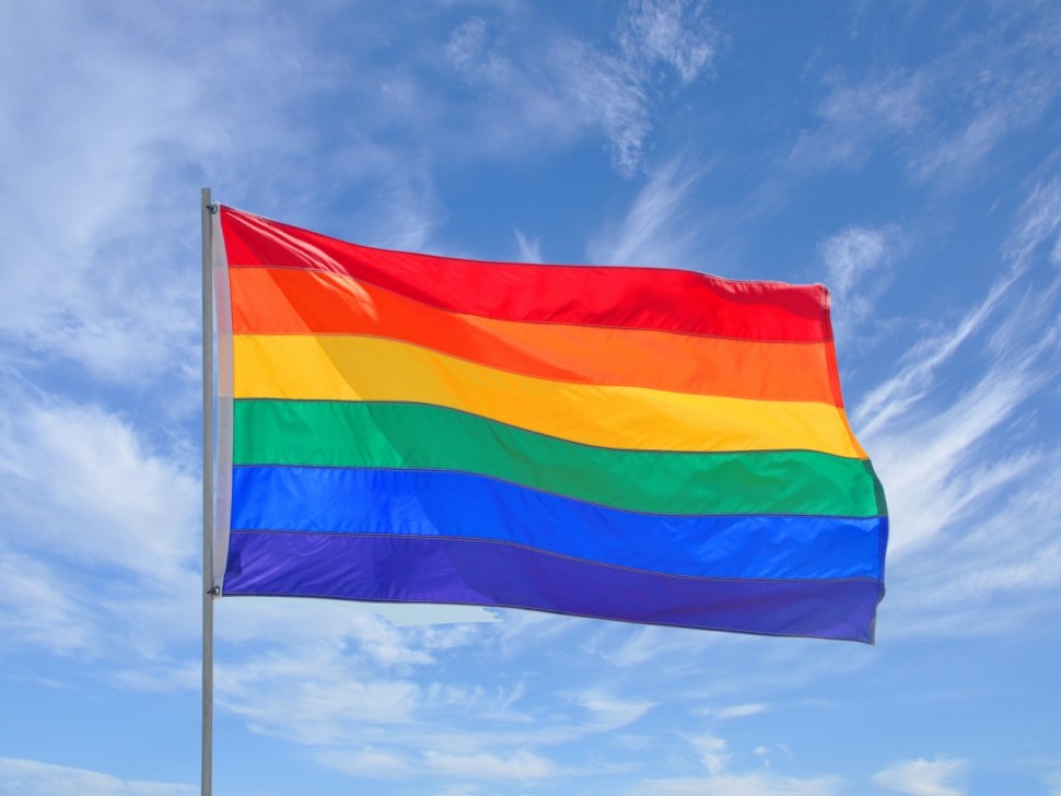 Επιτροπή Βιοηθικής: Υιοθεσία και σύμφωνο συμβίωσης ομοφυλόφιλων