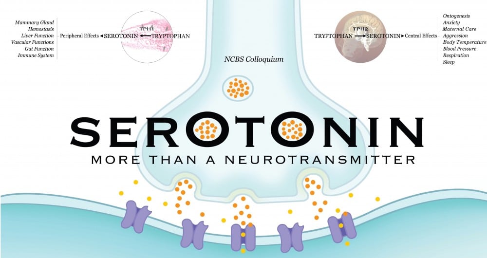 Μύθος ότι η χαμηλή σεροτονίνη προκαλεί κατάθλιψη;