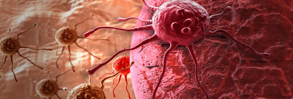Γενετιστές: δημιουργία οργανοειδών για θεραπείες καρκίνου