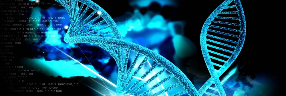 Η επιδιόρθωση του DNA “οδηγός” για το Αλτσχάιμερ
