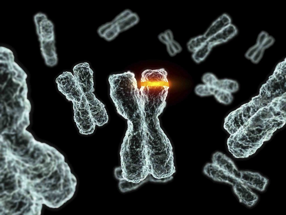 Ανακάλυψαν γονιδιακή μετάλλαξη που προκαλεί αυτισμό
