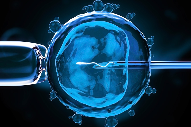 Λονδίνο: Στην αναμονή η γενετική τροποποίηση εμβρύων