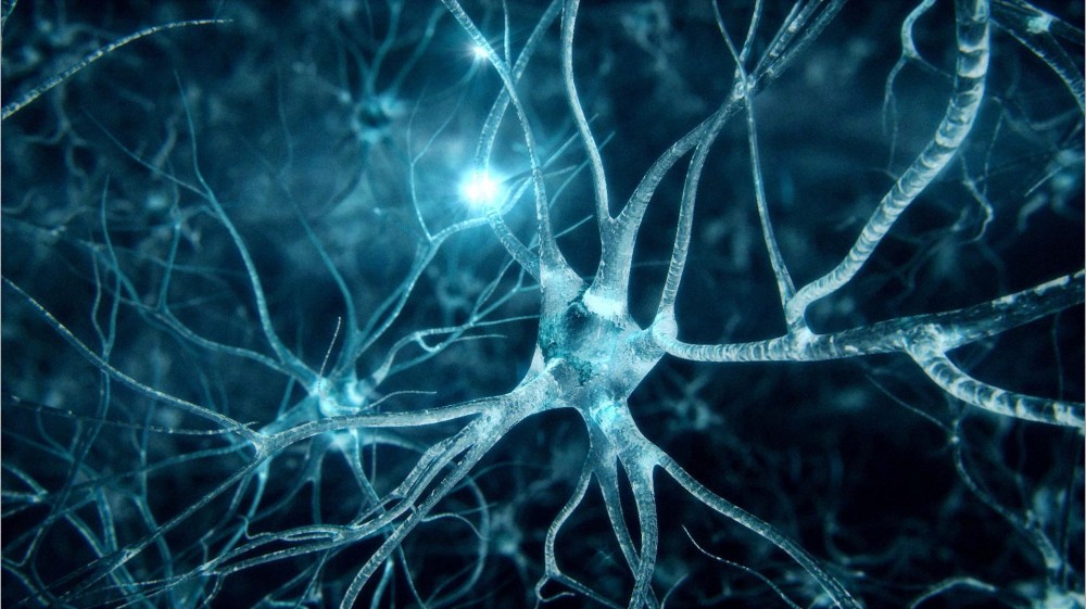3D νεύρα αποκαθιστούν κινητικές λειτουργίες