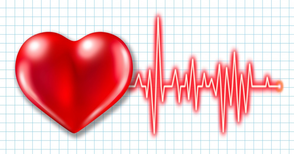 Οι δότες νεφρού ίσως έχουν καρδιακά προβλήματα