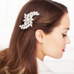 hairclip