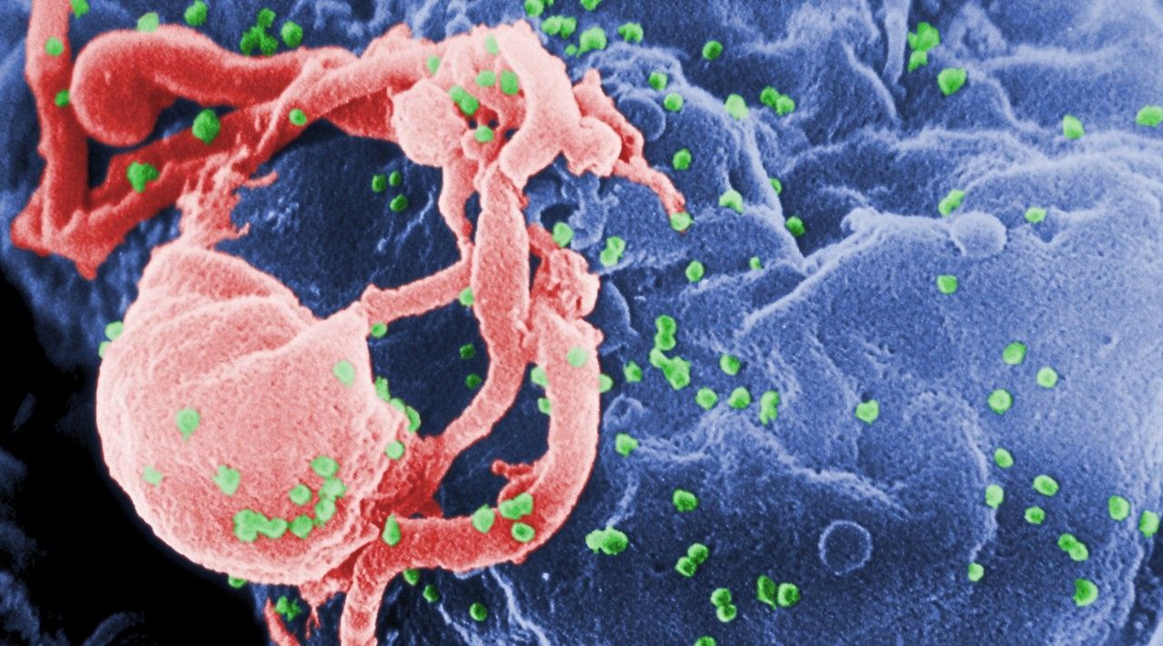 Περίπου 2,3 εκατ. άτομα στον κόσμο έχουν και HIV και ηπατίτιδα C
