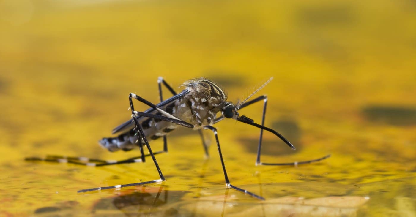 Η χειρότερη επιδημία των τελευταίων δεκαετιών