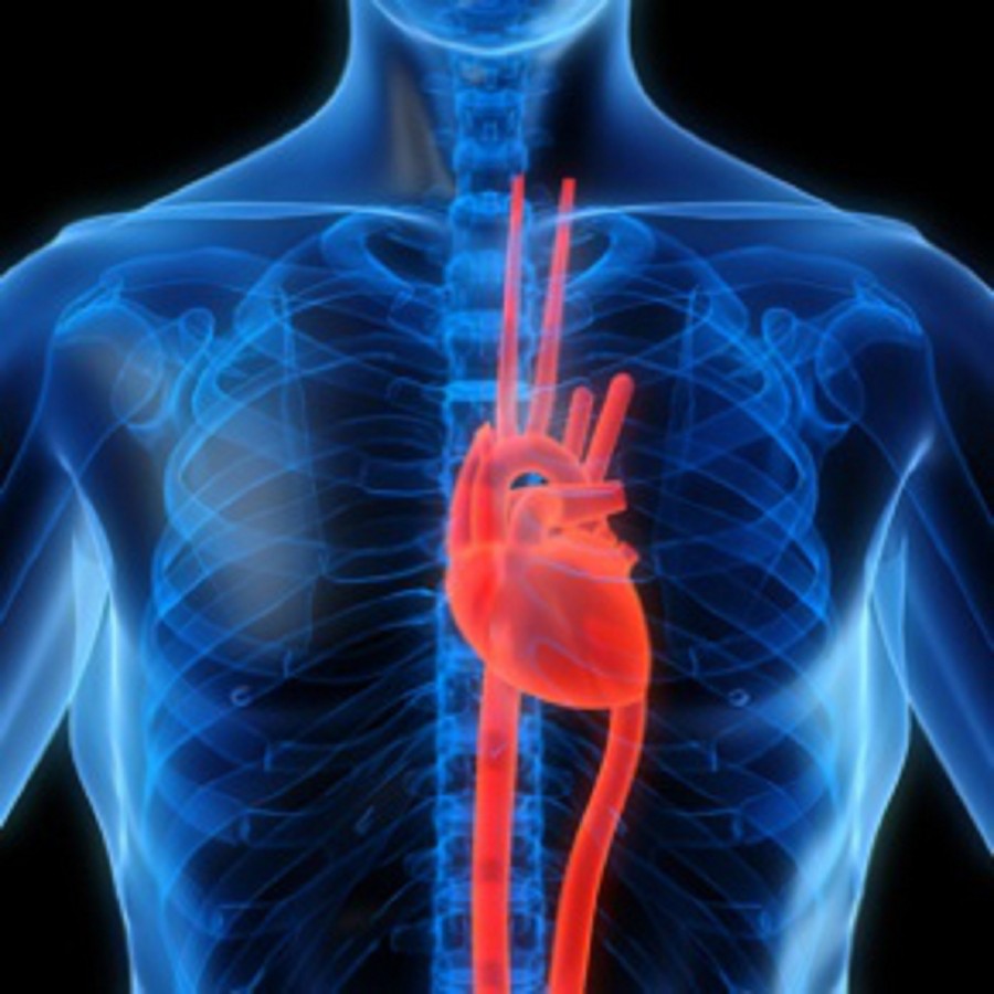 Οι ασθενείς με καρδιακή ανεπάρκεια δεν επιστρέφουν στην δουλειά 