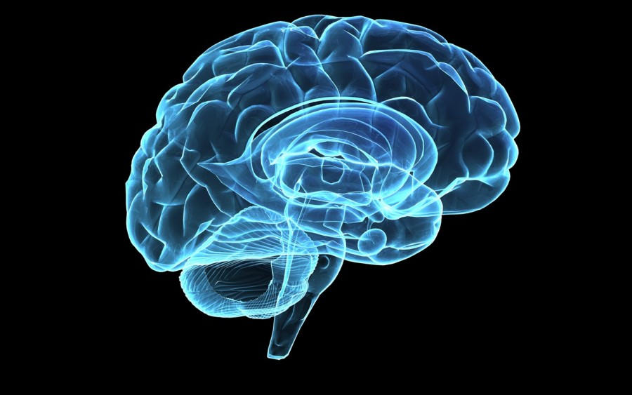 Eικονικός εγκέφαλος βοηθά στην αντιμετώπιση της επιληψίας