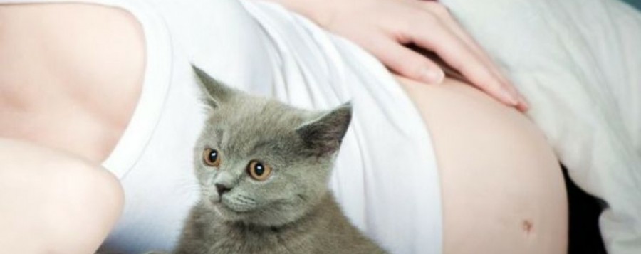 Εγκυμοσύνη και κατοικίδια ζώα: Ναι μπορείτε να συμβιώνετε άφοβα