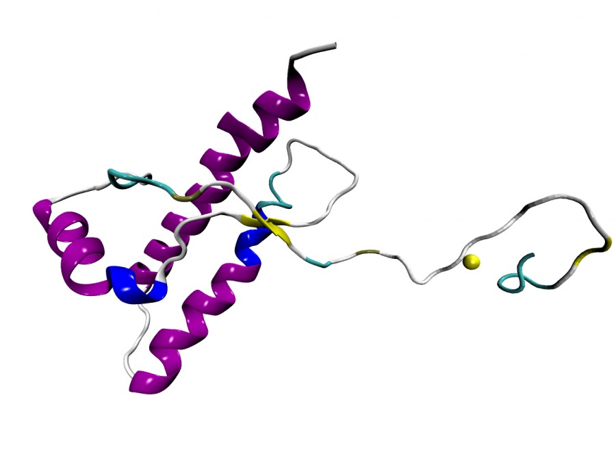 Πρωτεΐνες prion: Νέα ανακάλυψη