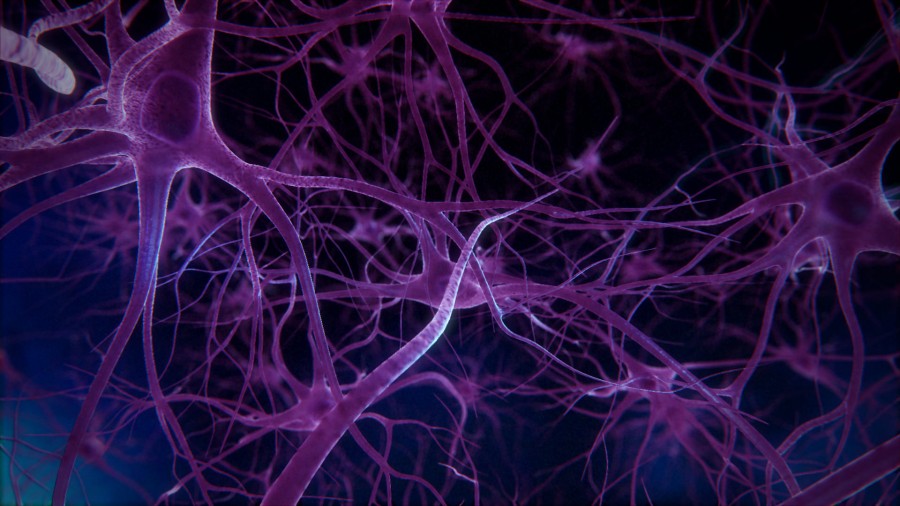 ALS: ανακάλυψη των καταστροφικών κυττάρων του εγκεφάλου