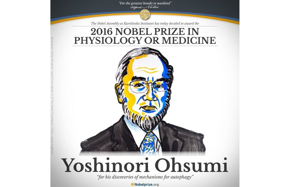 Το νόμπελ ιατρικής 2016 κερδίζει ο Ιάπωνας Γιοσινόρι Οσούμι