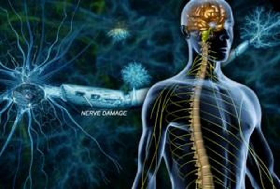 Νέα δεδομένα σώζουν τους νευρώνες των ασθενών με Σκλήρυνση Κατά Πλάκας