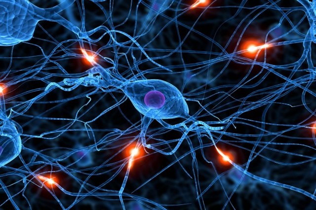 Νέο εργαλείο ιικού φορέα θα επεκτείνει την έρευνα επί των νευρωνικών κυκλωμάτων