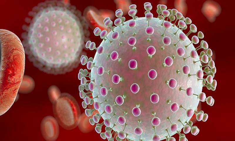 Ο ιός Ζήκα μπορεί να προκαλέσει ζημιά στον εγκέφαλο των ενηλίκων