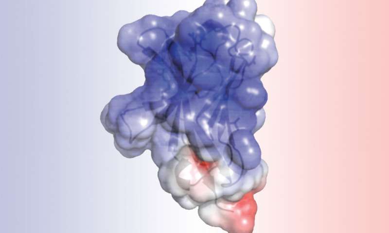 Η πρώτη περιγραφή πρωτεΐνης που εμπλέκεται στην Αλτσχάιμερ