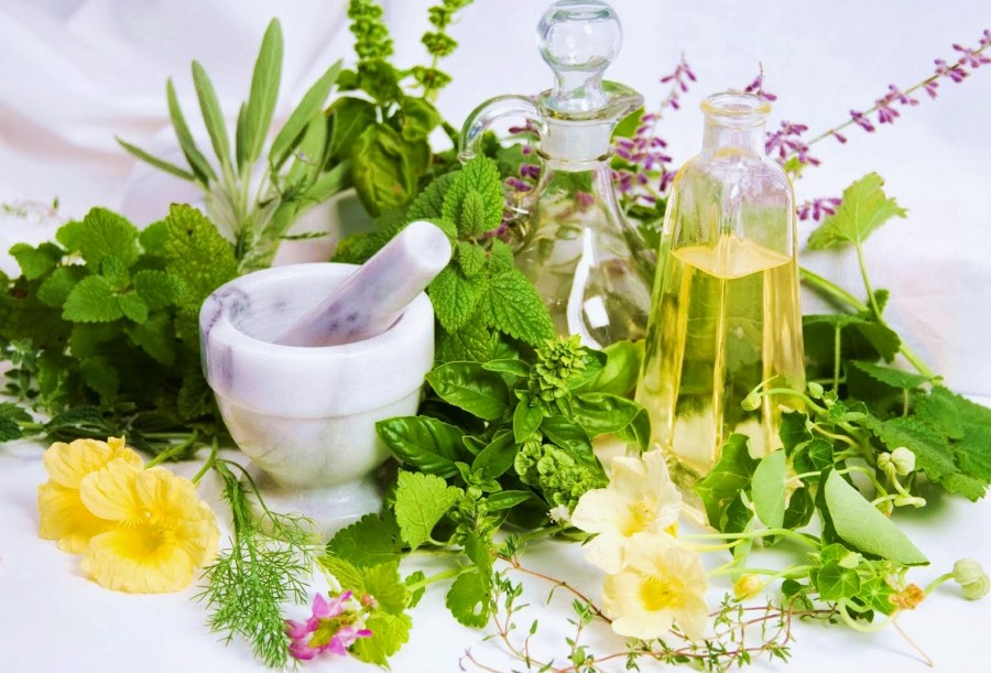 Πώς να καταπολεμήσετε το άσθμα με βότανα