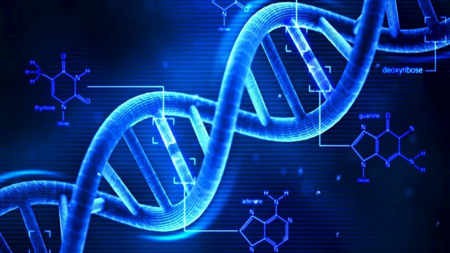Νέα εφεύρεση: Ανάλυση DNA με κινητό τηλέφωνο