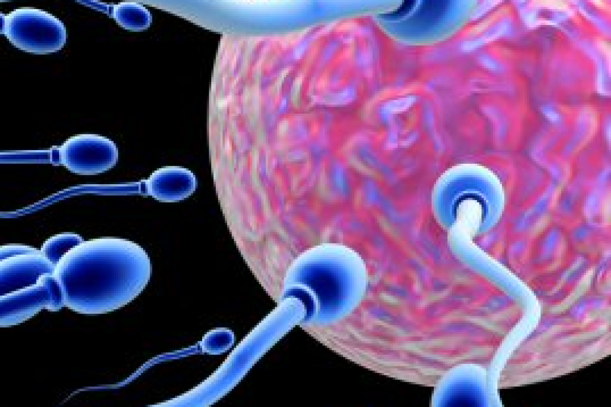 Φορητό τεστ για άμεση ανάλυση του σπέρματος με τη βοήθεια του κινητού