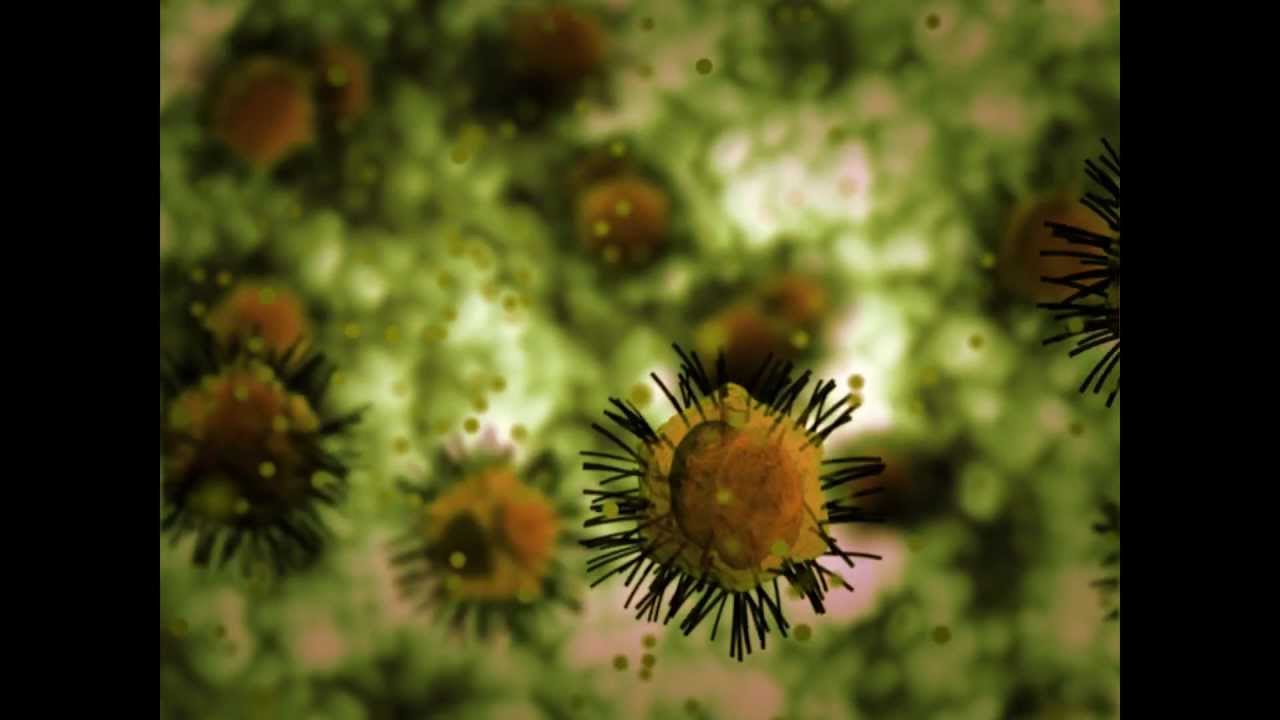 Επιστήμονες ανακάλυψαν μια νέα ομάδα μεγάλων ιών