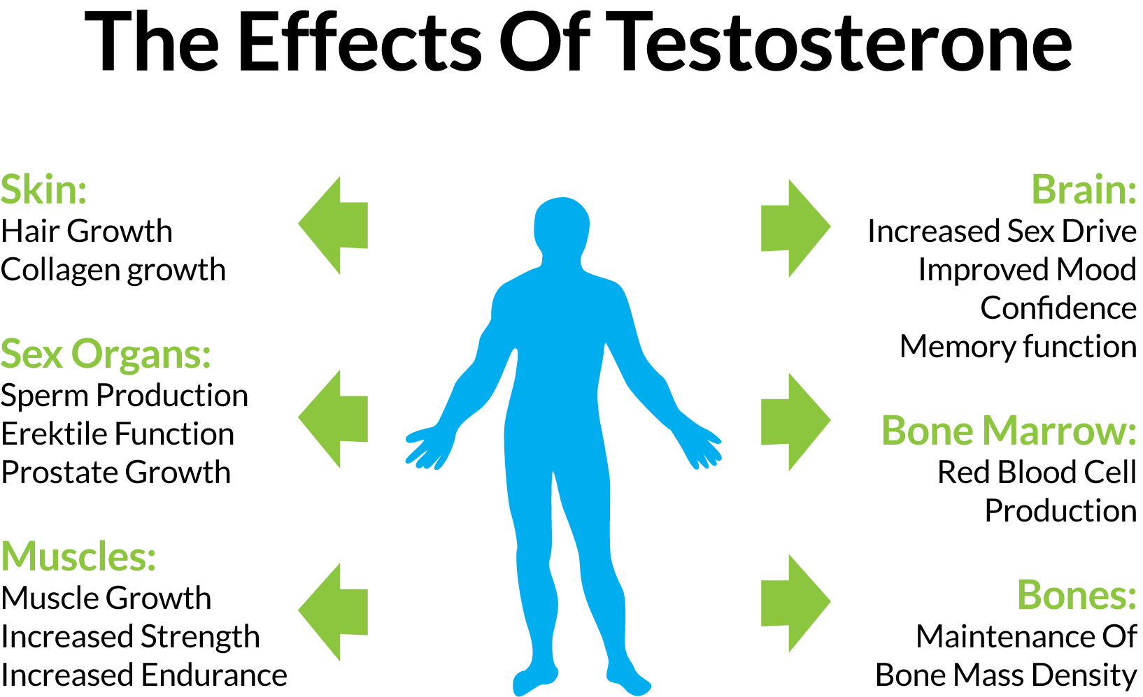 Η τεστοστερόνη προστατεύει από άσθμα