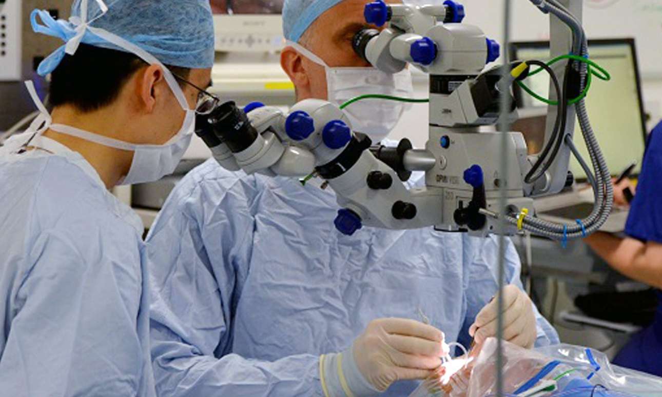 Νέα γονιδιακή θεραπεία δίνει υποσχέσεις για ασθενείς με απώλεια όρασης