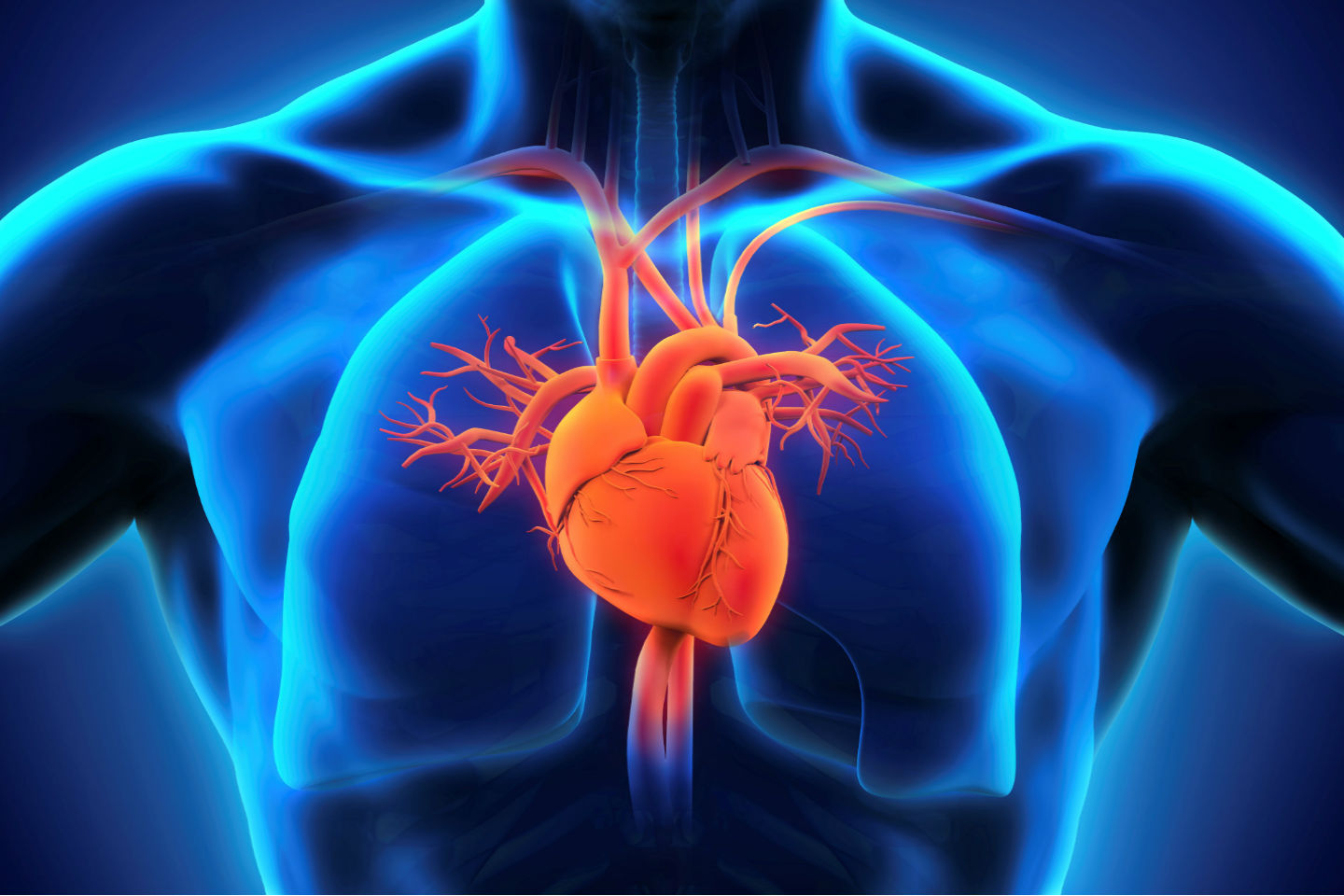 Ανακαλύφθηκε το γονιδιακό υπόστρωμα της συγγενούς καρδιοπάθειας