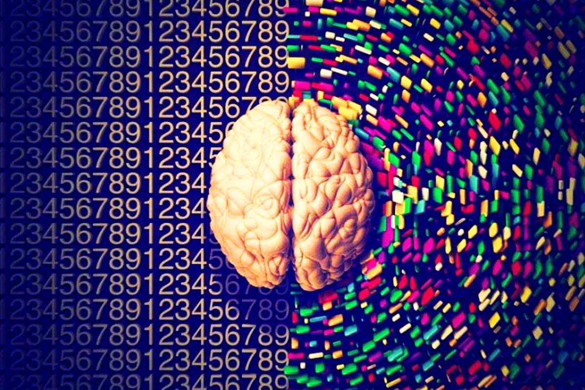 Επιστήμονες «έσπασαν» τον κώδικα εγκεφάλου για την αναγνώριση προσώπων