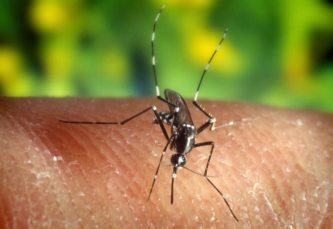 Ποιες περιοχές μπαίνουν σε καραντίνα λόγω ελονοσίας