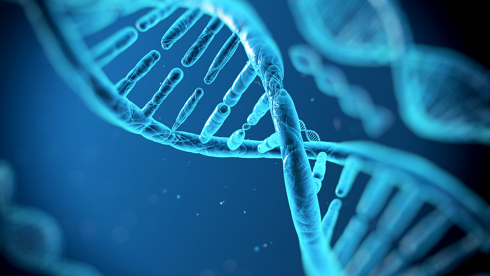 Ανενεργά τα 3/4 του ανθρώπινου DNA;