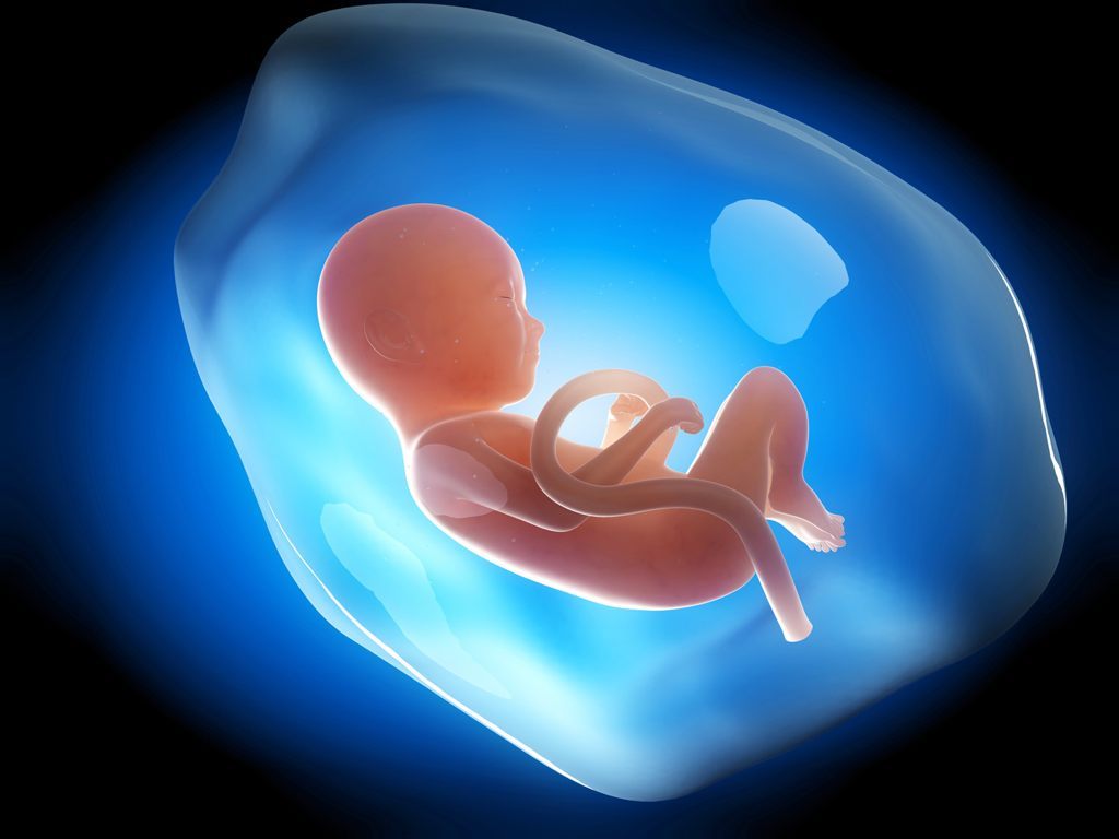 Γονιδιακή θεραπεία καρδιοπάθειας σε ανθρώπινα έμβρυα