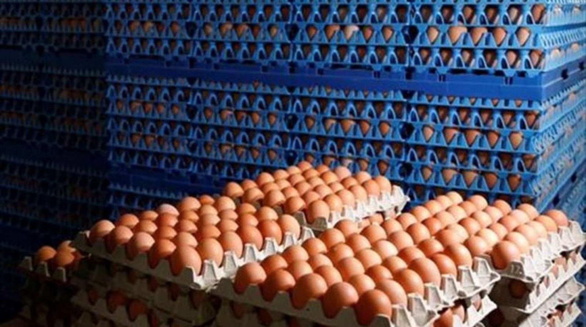 Το σκάνδαλο με τα μολυσμένα αυγά έπληξε και το Λουξεμβούργο