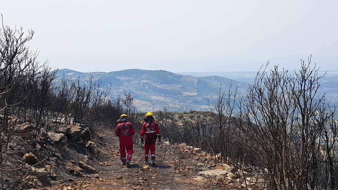Συμμετοχή Ε.Ε.Σ. στην κατάσβεση δασικής πυρκαγιάς στην Ζαχάρω