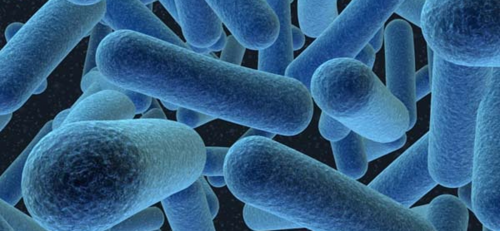 Εντερικά μικρόβια επηρεάζουν την σκλήρυνση κατά πλάκας
