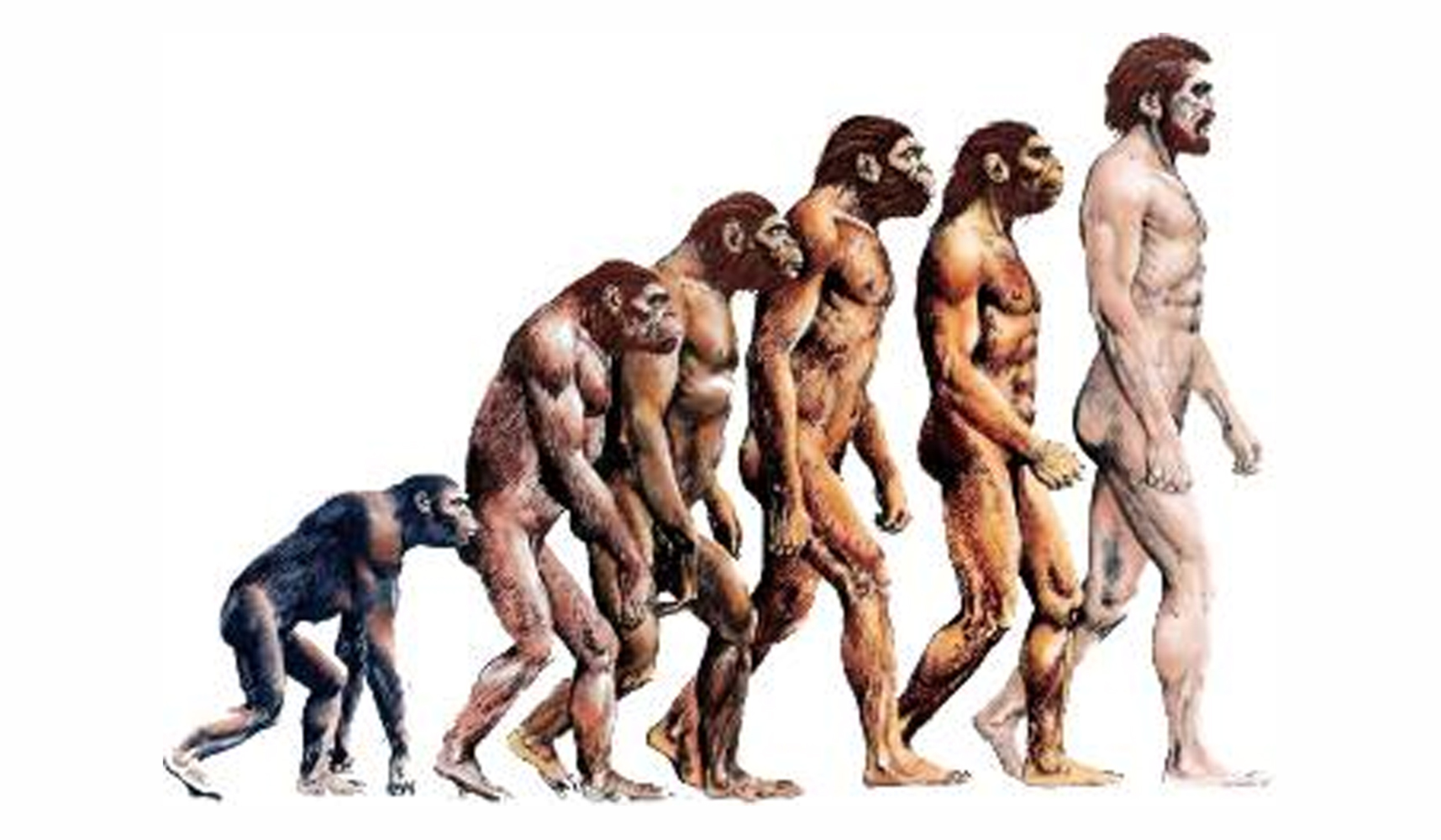 Δείτε την εξέλιξη του ανθρώπινου είδους 1.000 χρόνια μετά (βίντεο)