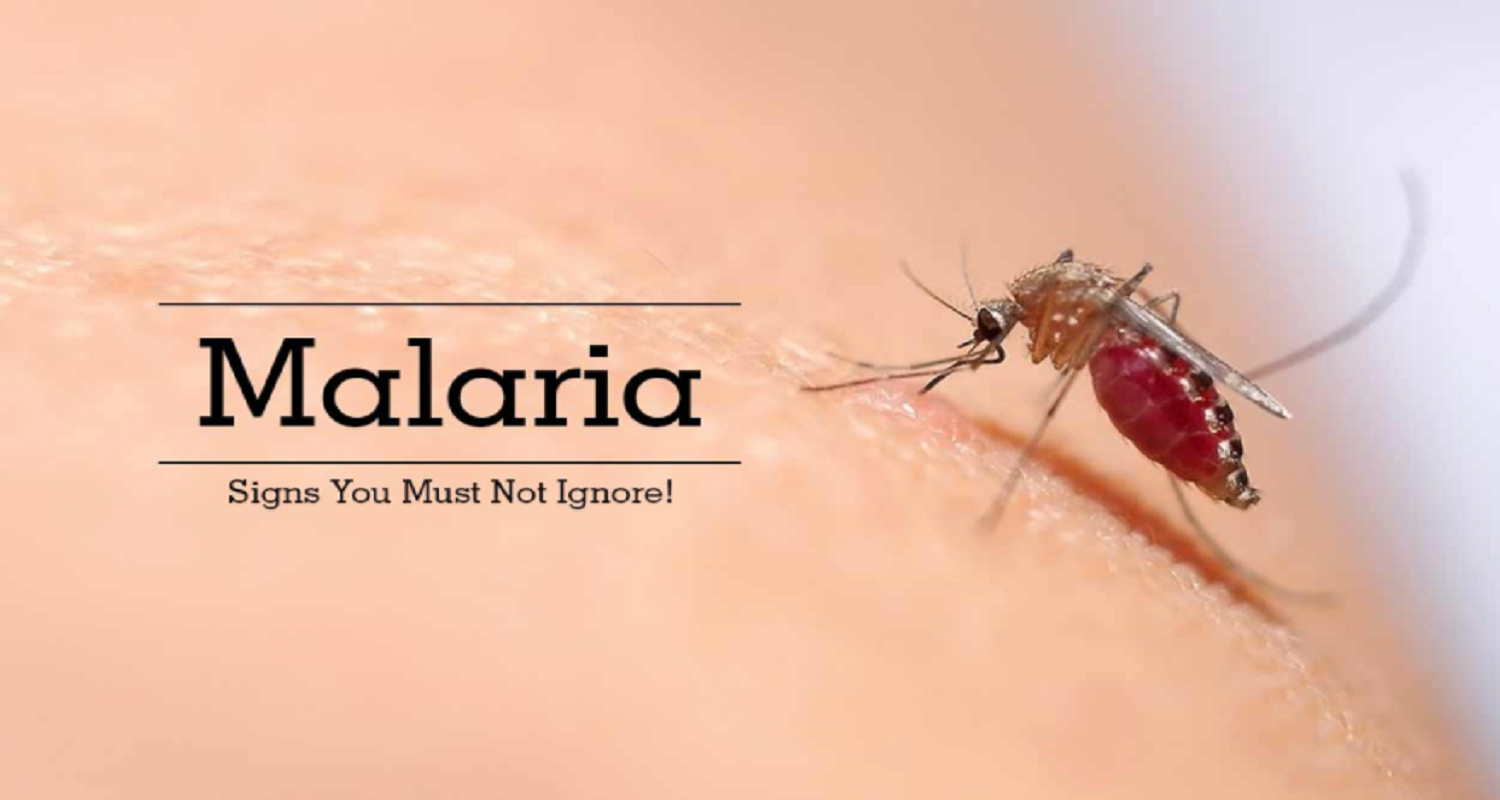 Μεταλλαγμένα κουνούπια – “δολοφόνοι” κατά της ελονοσίας