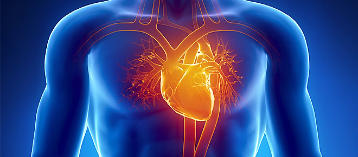 Πειραματική μελέτη για την καρδιακή ανεπάρκεια, τι δείχνει;