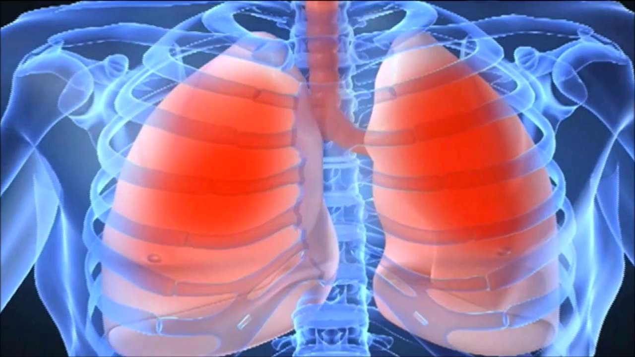Νέοι βιοδείκτες άσθματος από βακτήρια των πνευμόνων