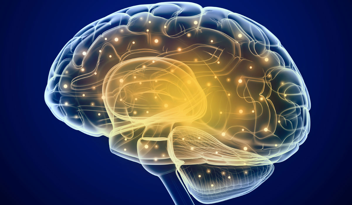 Εγκεφαλικό εμφύτευμα στον άνθρωπο βελτιώνει την ανάκληση μνήμης