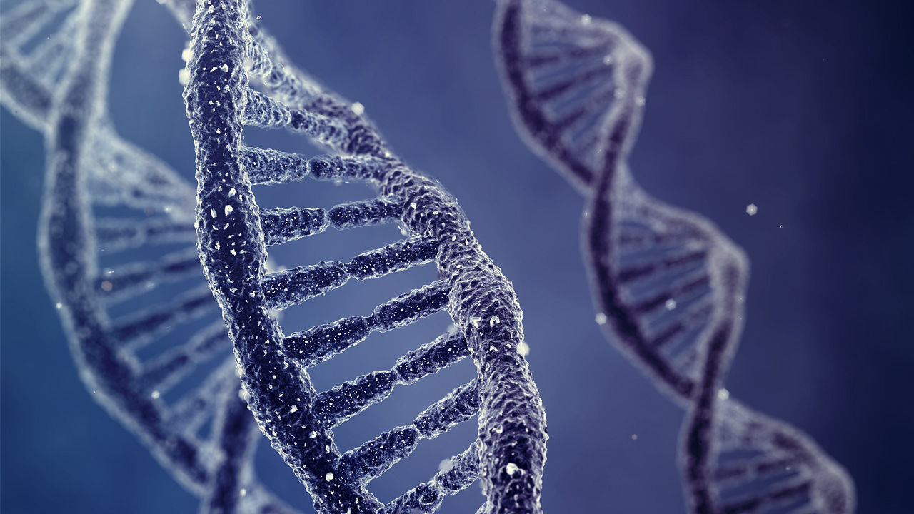 “Γκέι” γονίδια ισχυρίζονται πως απομόνωσαν Αμερικανοί επιστήμονες