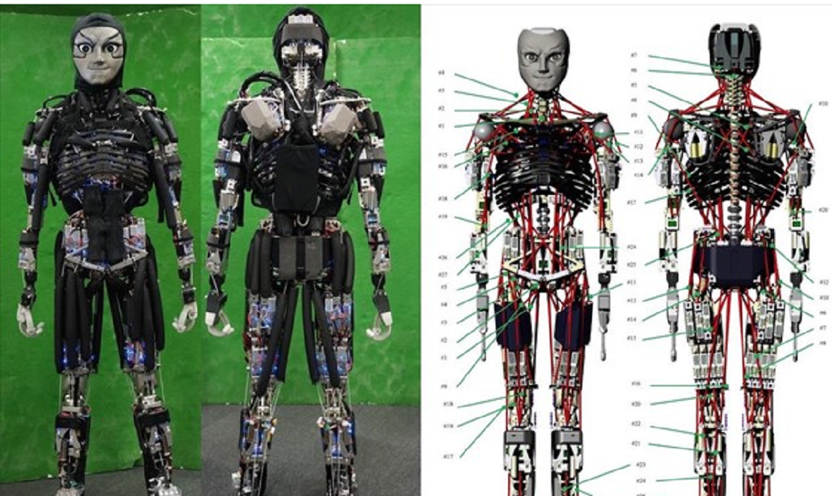 Ανθρωποειδές ρομπότ «αθλείται» και «ιδρώνει»